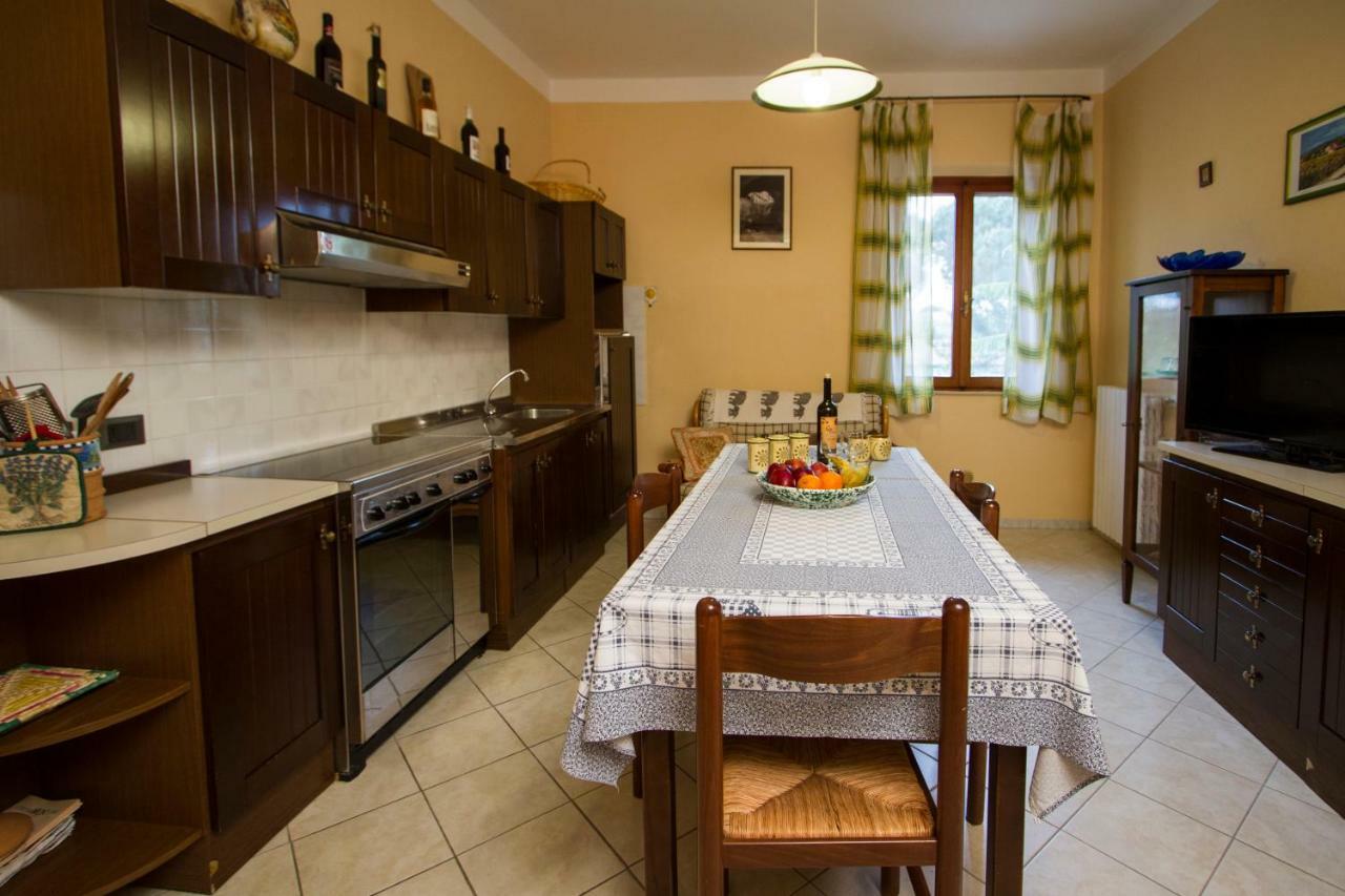 Casa Elena Daire Cortona Dış mekan fotoğraf